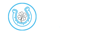 DPL Coaching Logo