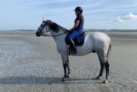 Ermess - Touquet Paris Plage 2022